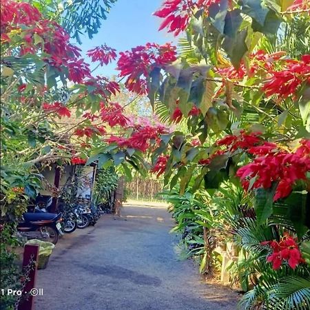Tribal Village Homestay & Trekking Banlung Dış mekan fotoğraf