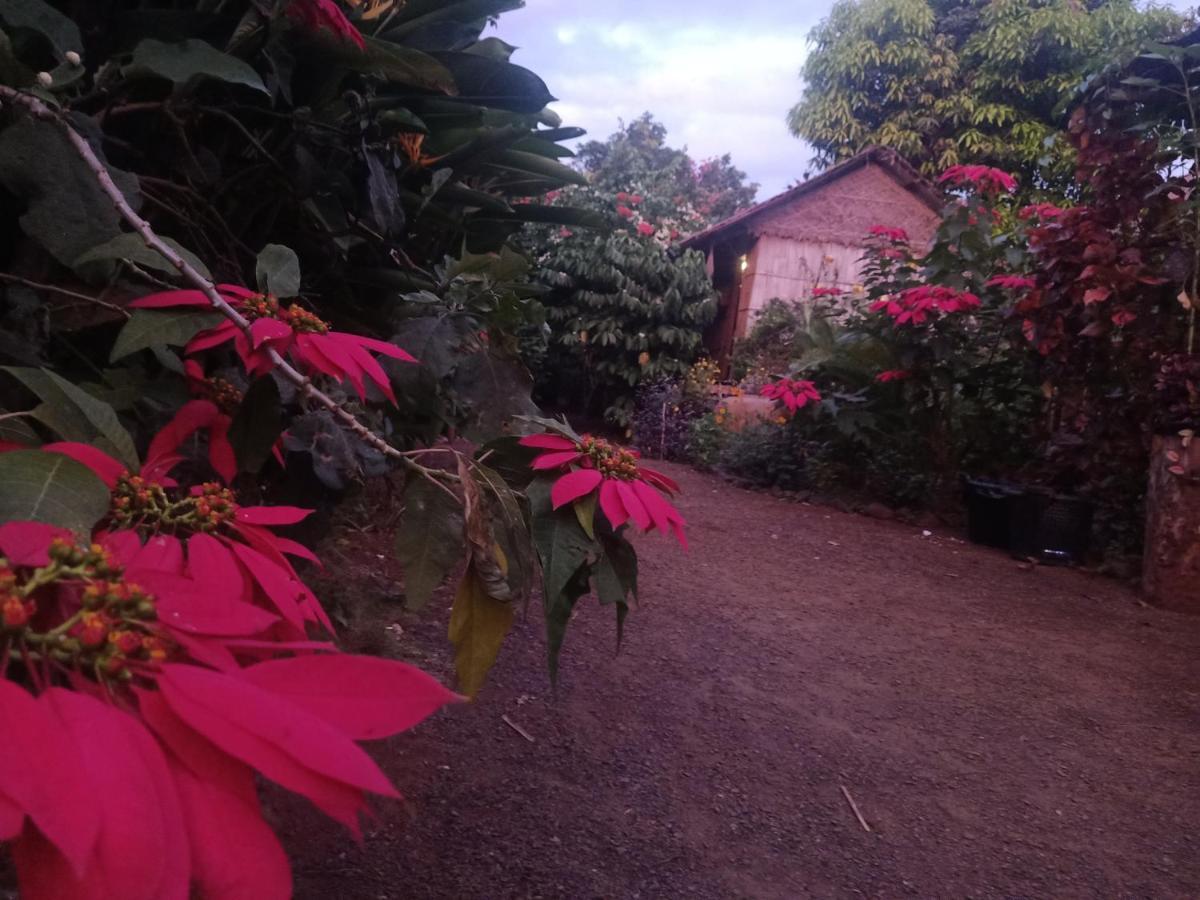 Tribal Village Homestay & Trekking Banlung Dış mekan fotoğraf