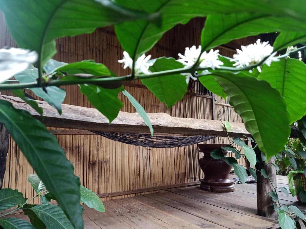 Tribal Village Homestay & Trekking Banlung Dış mekan fotoğraf