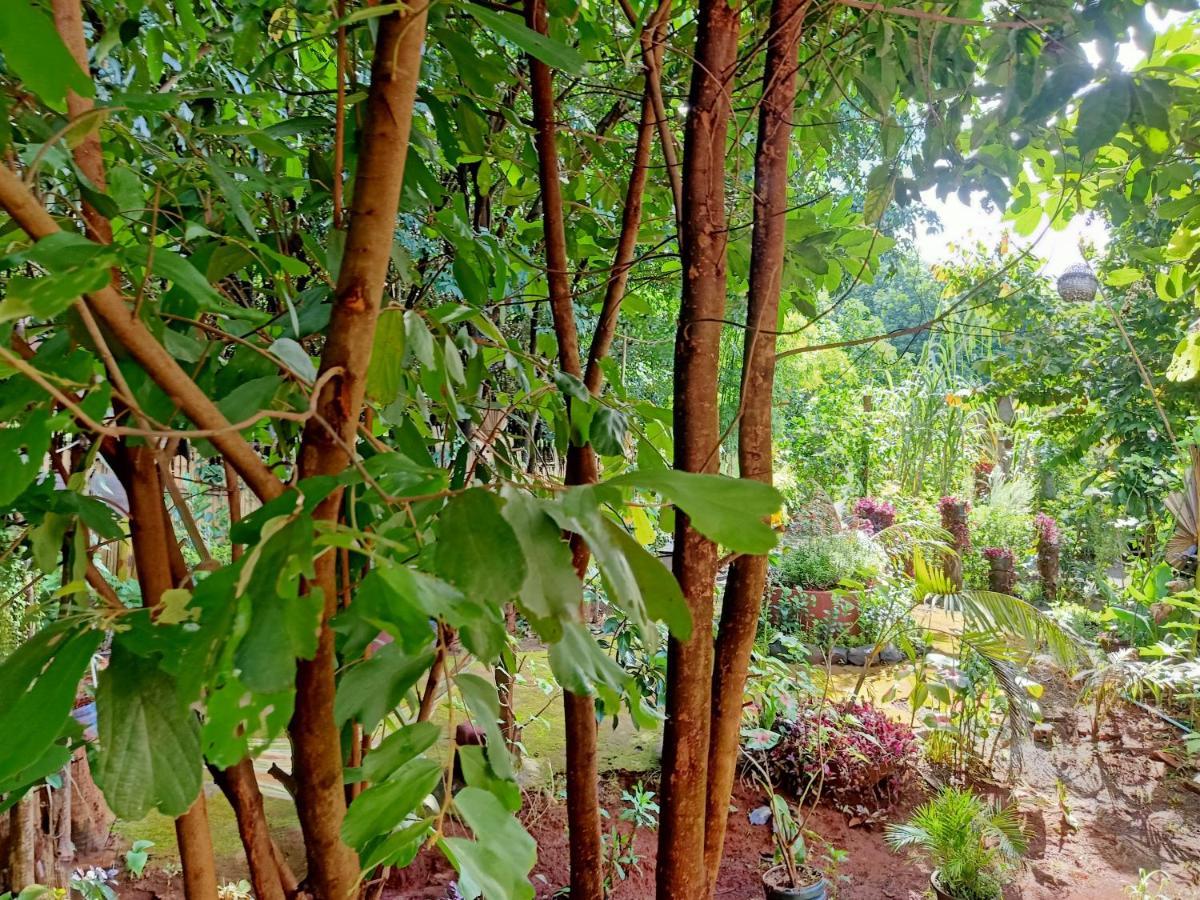 Tribal Village Homestay & Trekking Banlung Dış mekan fotoğraf