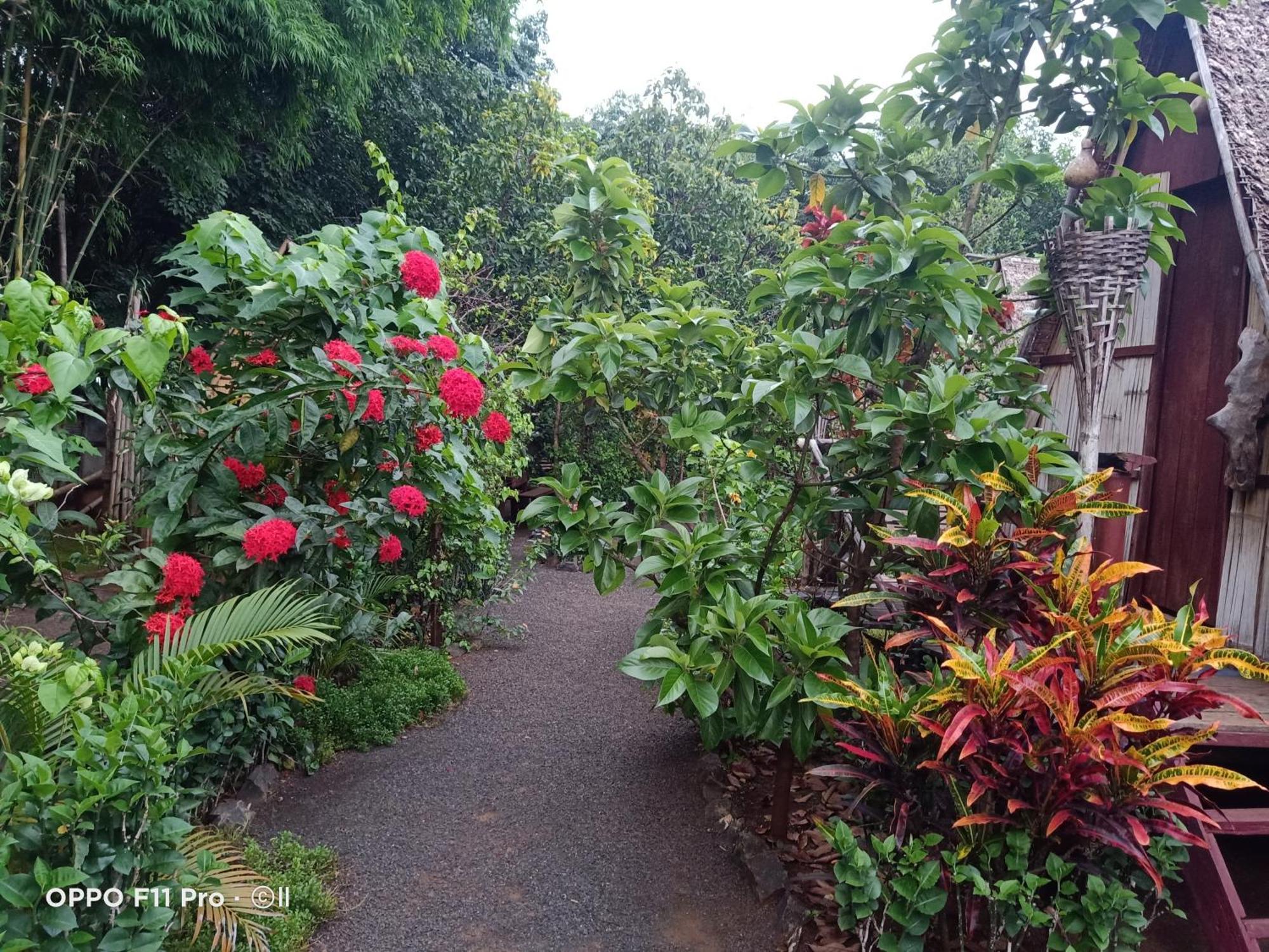 Tribal Village Homestay & Trekking Banlung Dış mekan fotoğraf