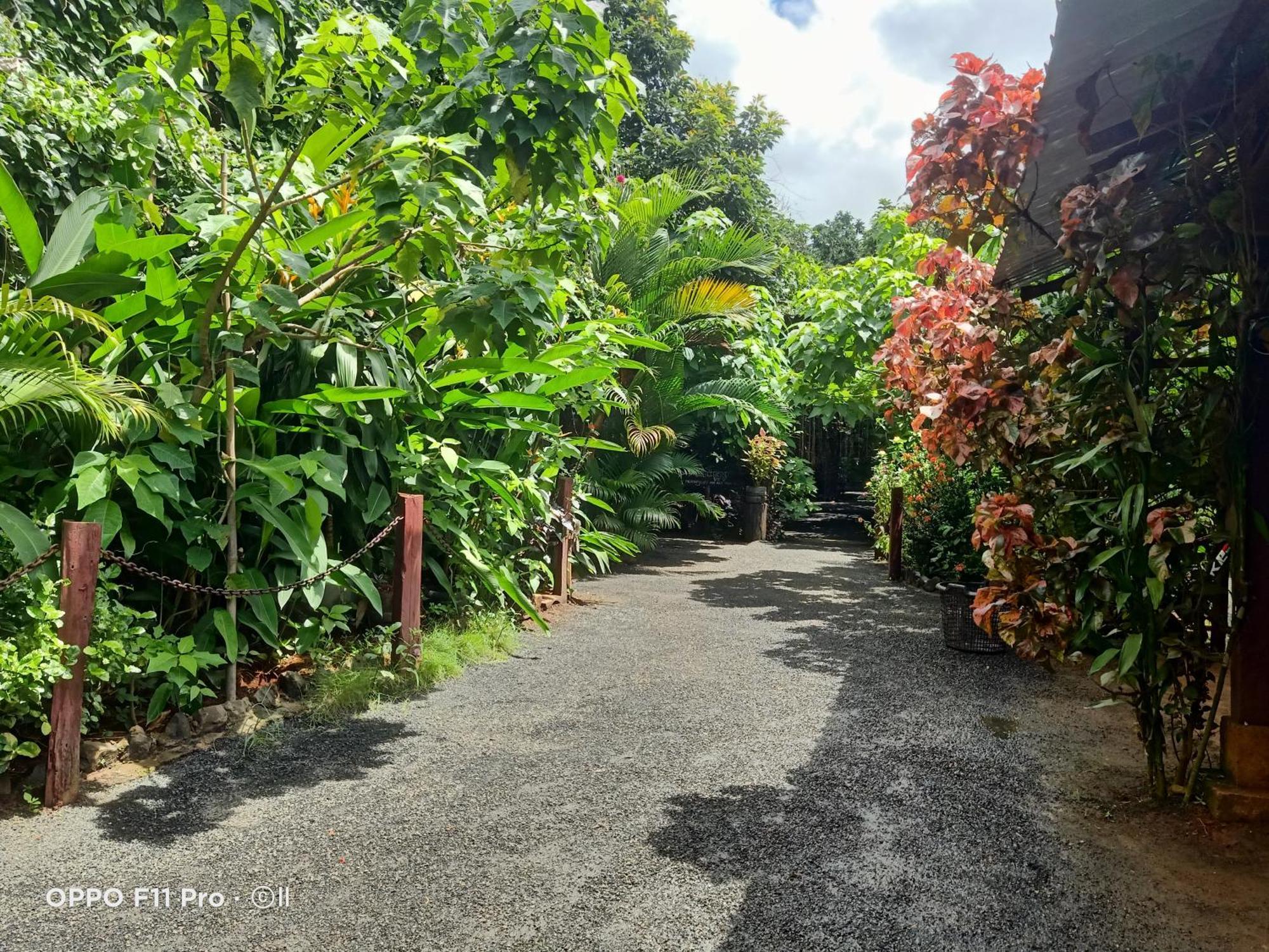 Tribal Village Homestay & Trekking Banlung Dış mekan fotoğraf
